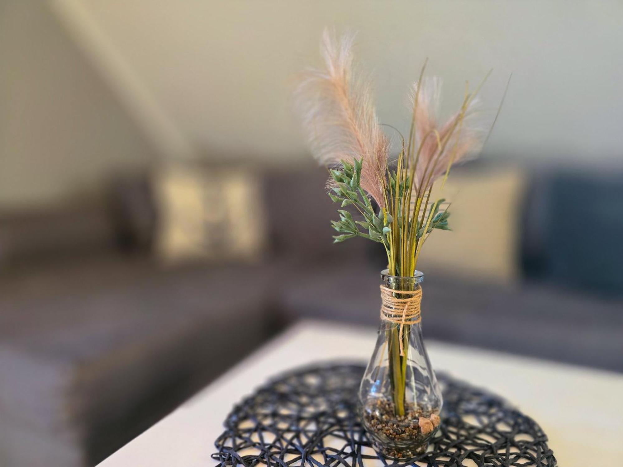 Feriendorf Rugana - Komfortplus Appartement Mit 1 Schlafzimmer C32 ดรันส์เคอ ภายนอก รูปภาพ